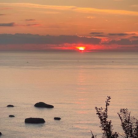 Casa Mimosa Lejlighed Ischia Eksteriør billede