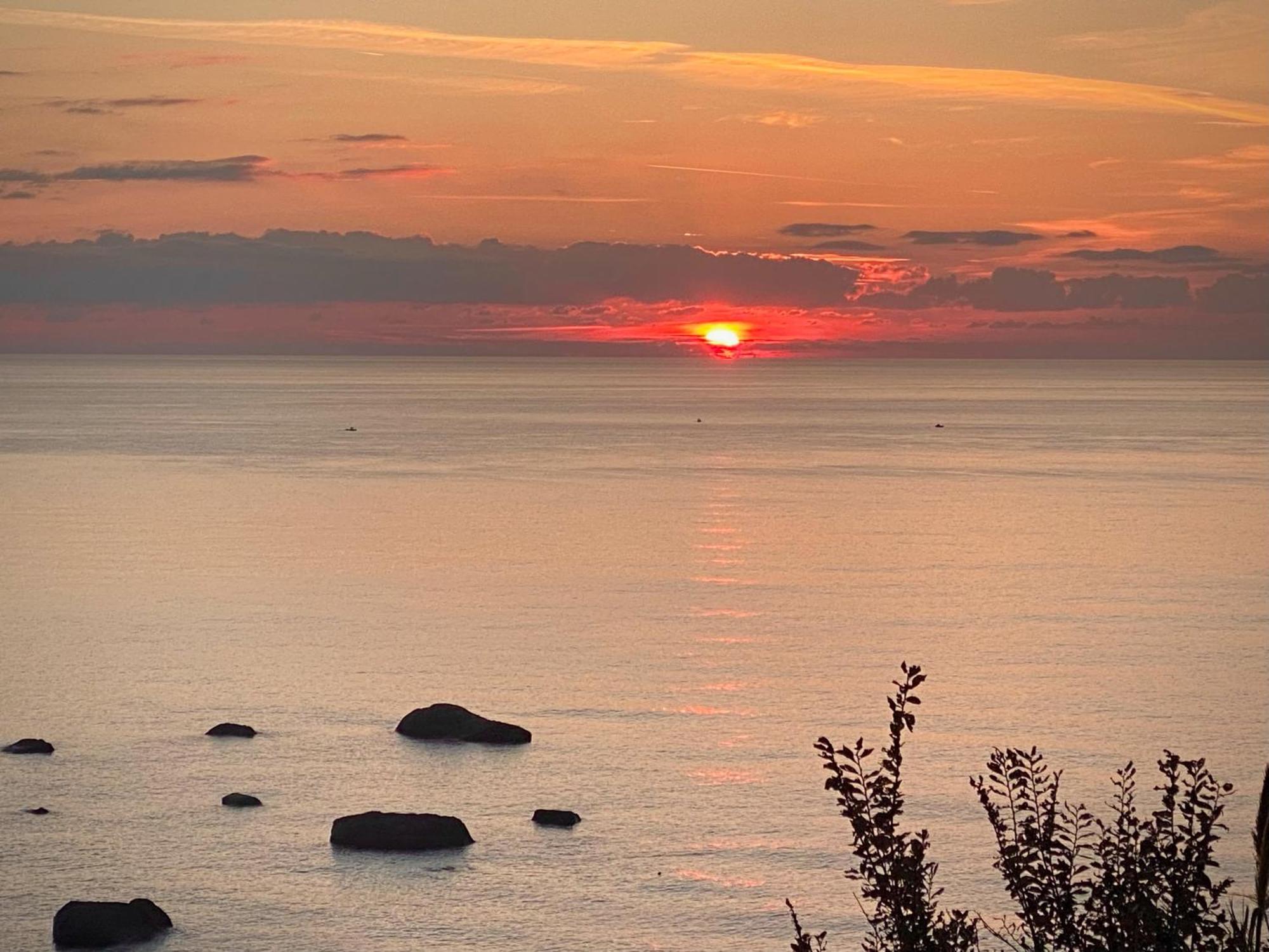 Casa Mimosa Lejlighed Ischia Eksteriør billede